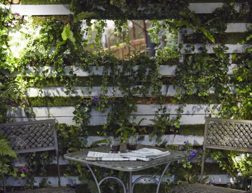 PROTEK SUPPORTS IDEAL YOUNG GARDENERS