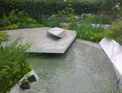 PROTEK SETS CHELSEA ALIGHT