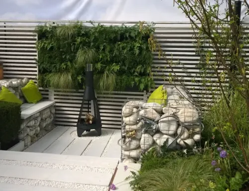 IDEAL YOUNG GARDENER OF THE YEAR 2015