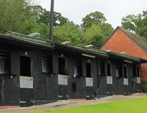 PAUL NICHOLLS REFRESHES STABLE YARD WITH PROTEK’S BLACK STABLE COAT